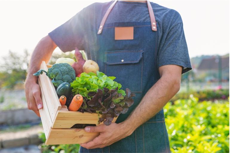 alimentazione biologica benefici e come scegliere i cibi giusti grand chef evolution