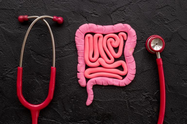 intestino in salute cosa mangiare e quali abitudini seguire grand chef evolution