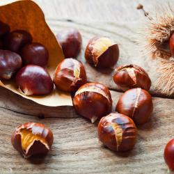 Castagne arrosto